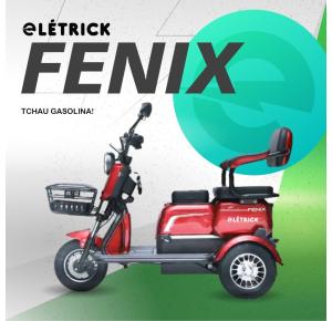 TRICICLO FENIX  LÍTIO VERMELHO 