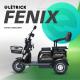 TRICICLO FENIX 750W PRETO