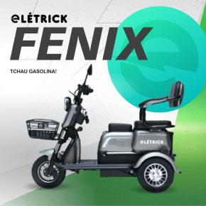 TRICICLO FENIX PRATA-frete vip grátis norte de mg e bh