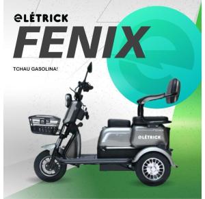 TRICICLO FENIX PRATA-frete vip grátis norte de mg e bh