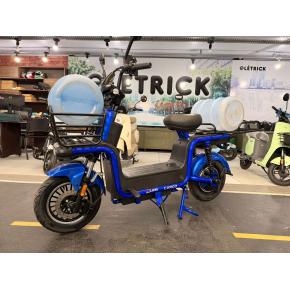 SCOOTER CARGUEIRA AZ 1000W