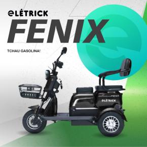 TRICICLO FENIX  ULTRA 1.000W LÍTIO RODA 10 PR