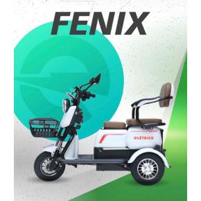 TRICICLO FENIX BRANCA-frete vip grátis norte de mg e bh