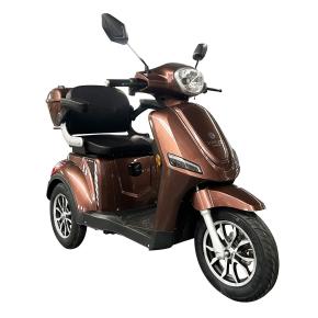 TRICICLO ALPHA BROW